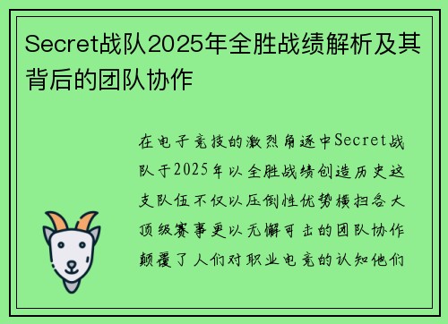 Secret战队2025年全胜战绩解析及其背后的团队协作