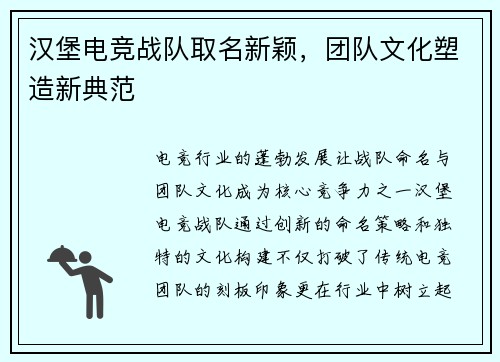 汉堡电竞战队取名新颖，团队文化塑造新典范
